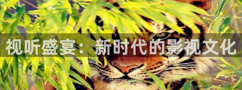 叼嘿视频草莓：视听盛宴：新时代的影视文化