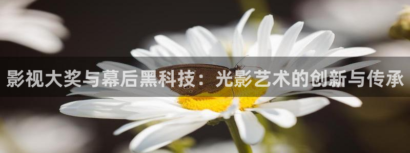 草莓福利视频：影视大奖与幕后黑科技：光影艺术的创新与传承