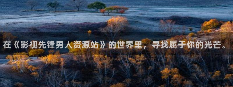草莓视频怎：在《影视先锋男人资源站》的世界里，寻找属于你的光芒。