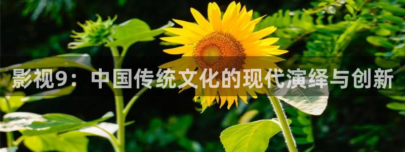 草莓视频在线观看ios免费：影视9：中国传统文化的现代演绎与创新